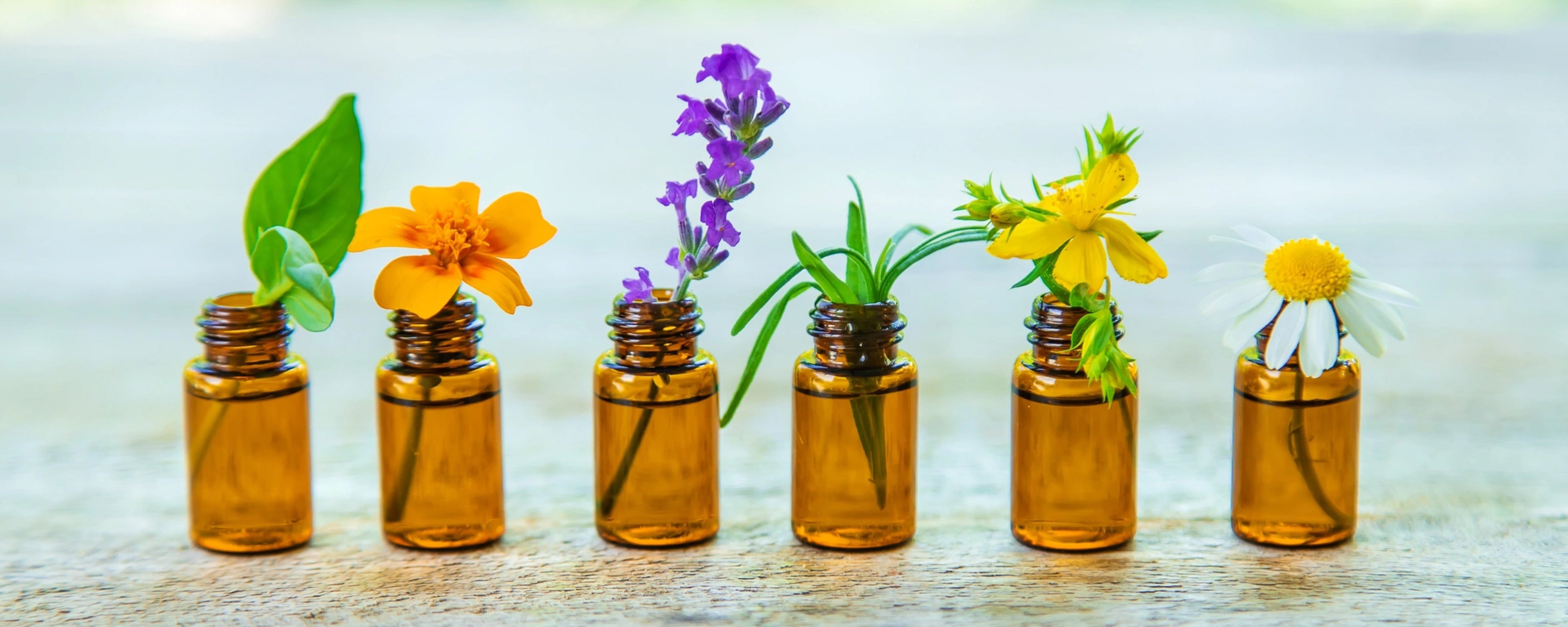 FLEURS DE BACH POUR LE STRESS: LESQUELLES CHOISIR?